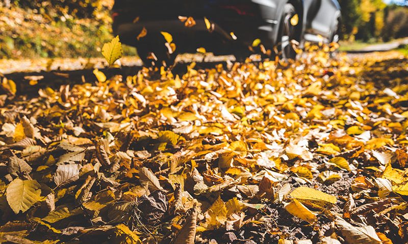 Top tips for driving this autumn