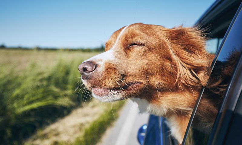 10 lesser-known driving offences to be aware of