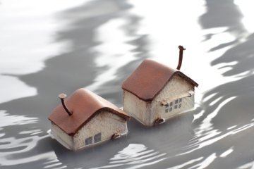 Impact of natural disasters